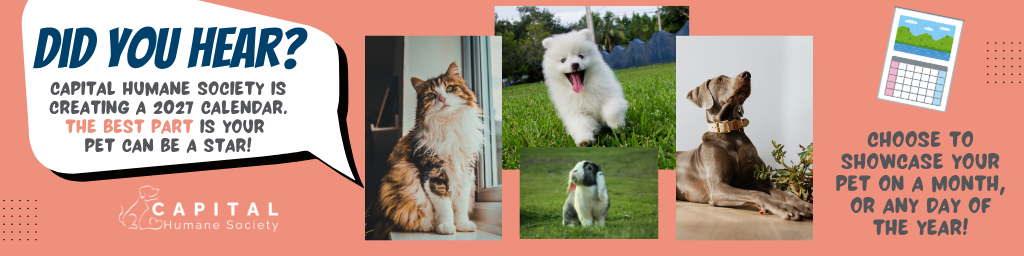 2027 Pet Calendar Banner
