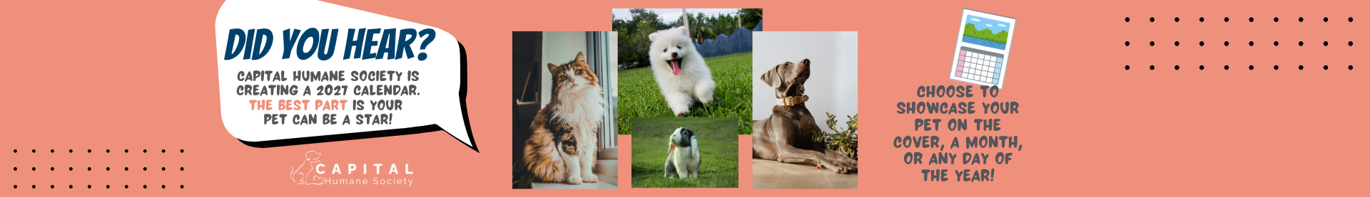 2027 Pet Calendar Banner