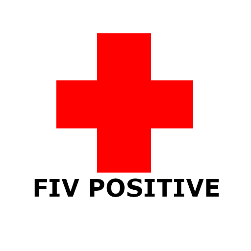 FIV Positive